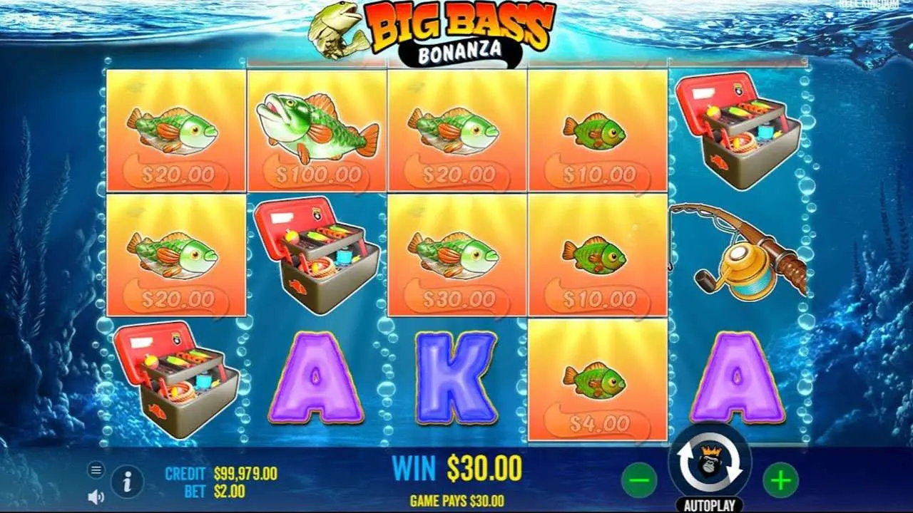 Бонусная игра Big Bass Bonanza